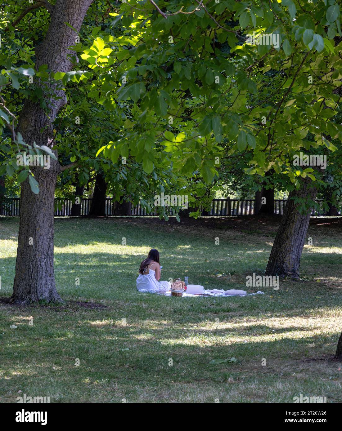 Young, long-haired, dark-haired woman on a picnic in the park in a summer dress Stock Photo
