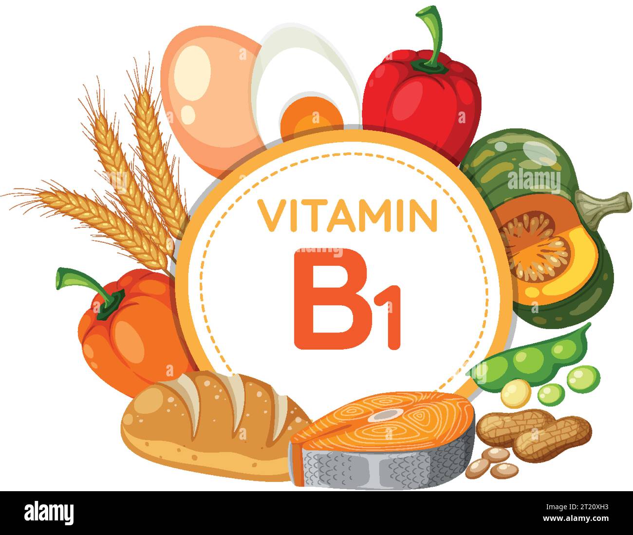 Colorful banner showcasing food and fruit rich in Vitamin B1 Stock
