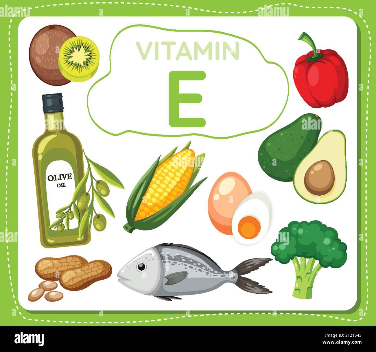 Colorful vector illustration showcasing vitamin Erich foods and fruits