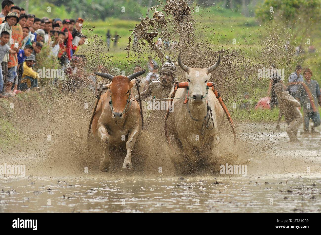 Acro show hi-res stock photography and images - Alamy