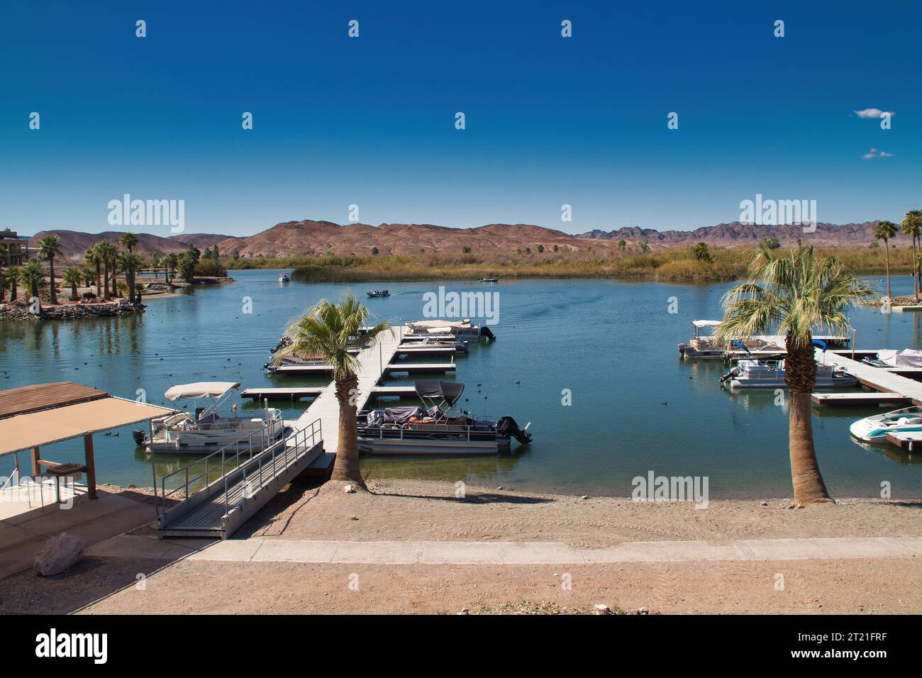 A tranquil scene of several boats surrounded by lush palm trees on the ...