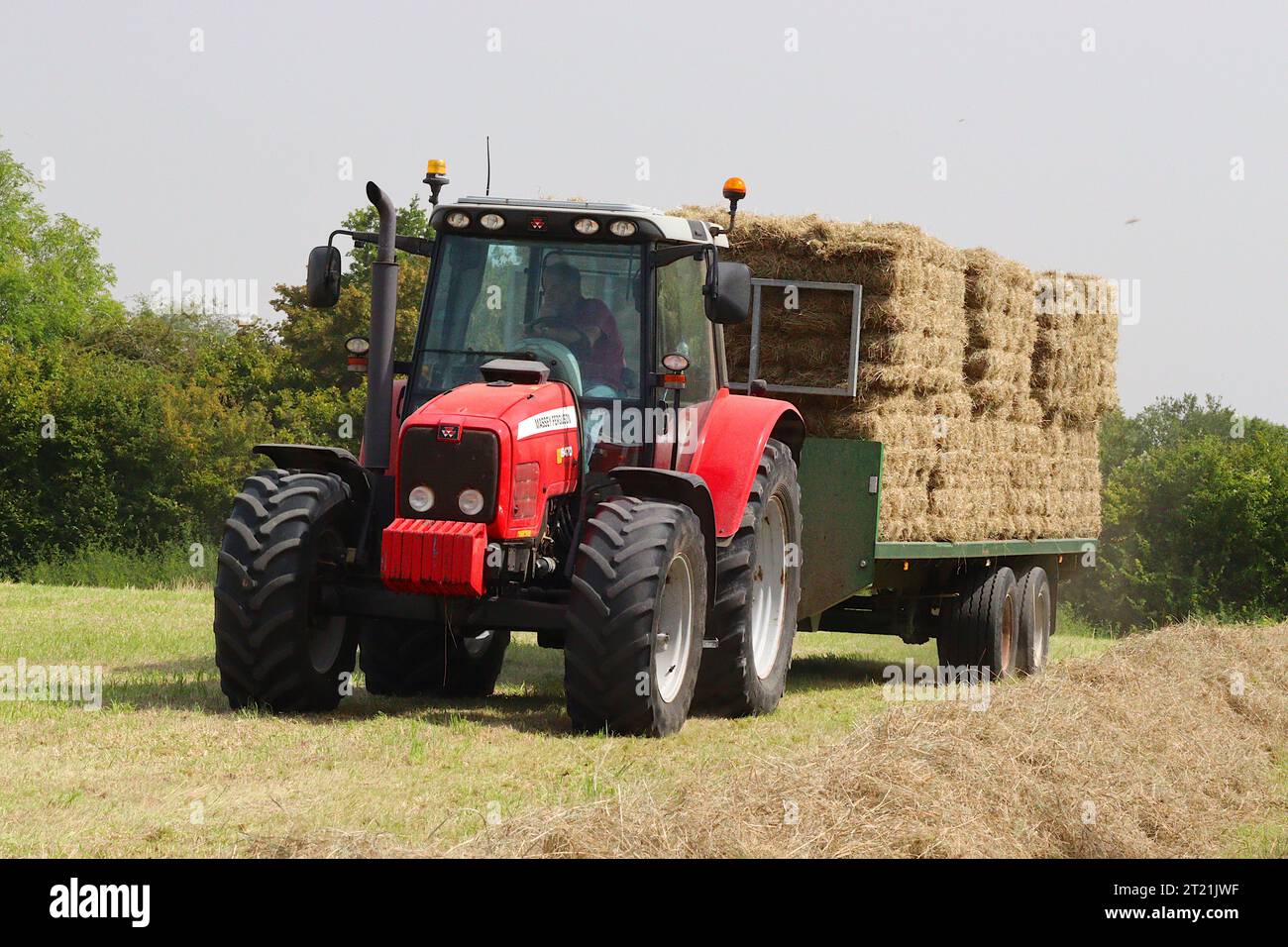 Massey Ferguson 6470T tractor hitched to a twin axle bale trailer loaded with pre bound large rectangular bales, to be stored and sold as winter feed. Stock Photo