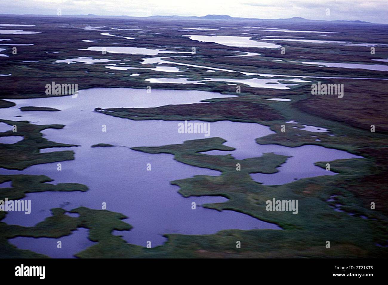 Aerial view of Hazen Bay wetlands. Subjects Aerial photography