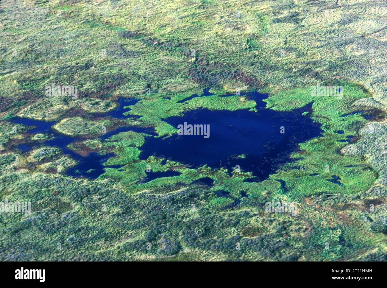 Selawik Wolves Aerial view of the Selawik wetlands within Selawik National Wildlife ...