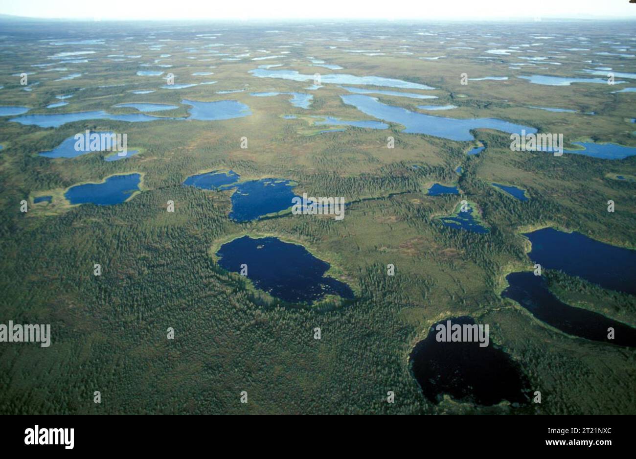 Aerial view of Selawik NWR Wetlands. Subjects Scenics; Landscapes