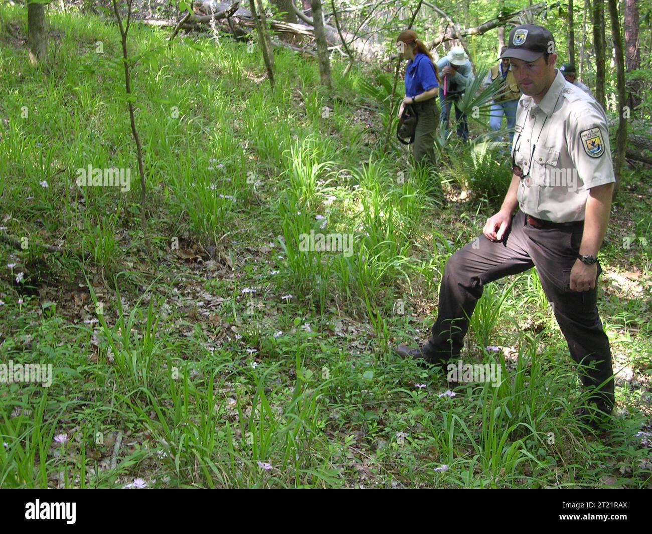 ; fringed campion; fringed pink; Endangered species; Plants
