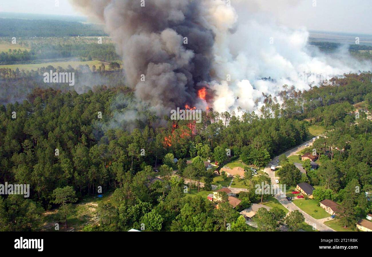 Lessen damage hi-res stock photography and images - Alamy