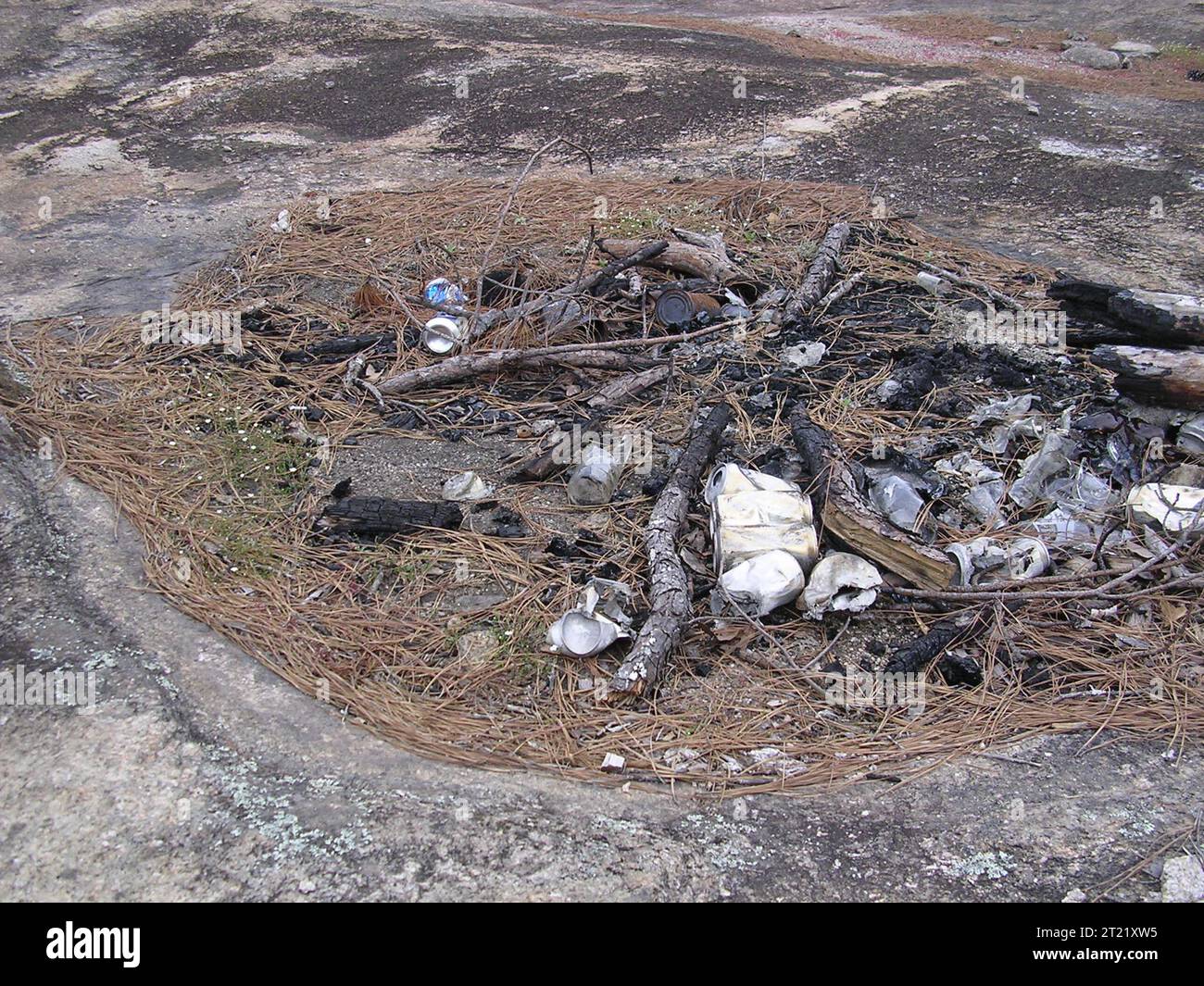 Granite outcrop habitat impacts. Creator: Pattavina, Pete. Descriptive Note: This solution pit on a granite outcrop used as a fire pit, destroying native vegetation. Subjects: Granite outcrop; Endangered species; fern ally; Amphianthus pusillus; Isoetes tegetiformans; little amphianthus; mat-forming quillwort; solution pit; habitat specialist; Georgia; Piedmont Physiographic province; habitat disturbance; destruction; recreatio. Stock Photo