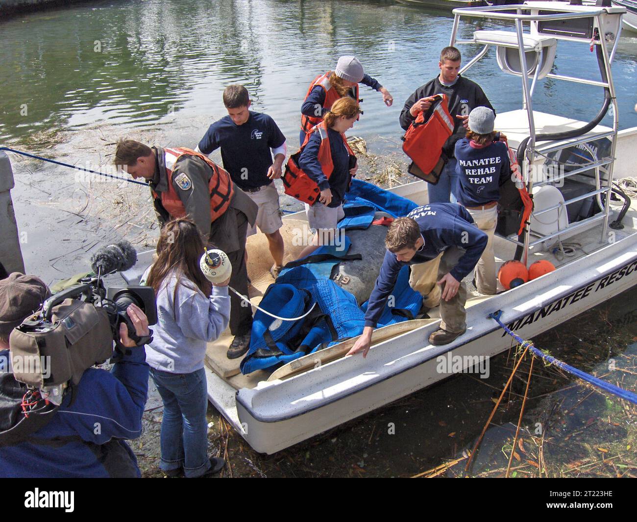 Manatee rescue. Subjects: Mammals; Endangered species. Location