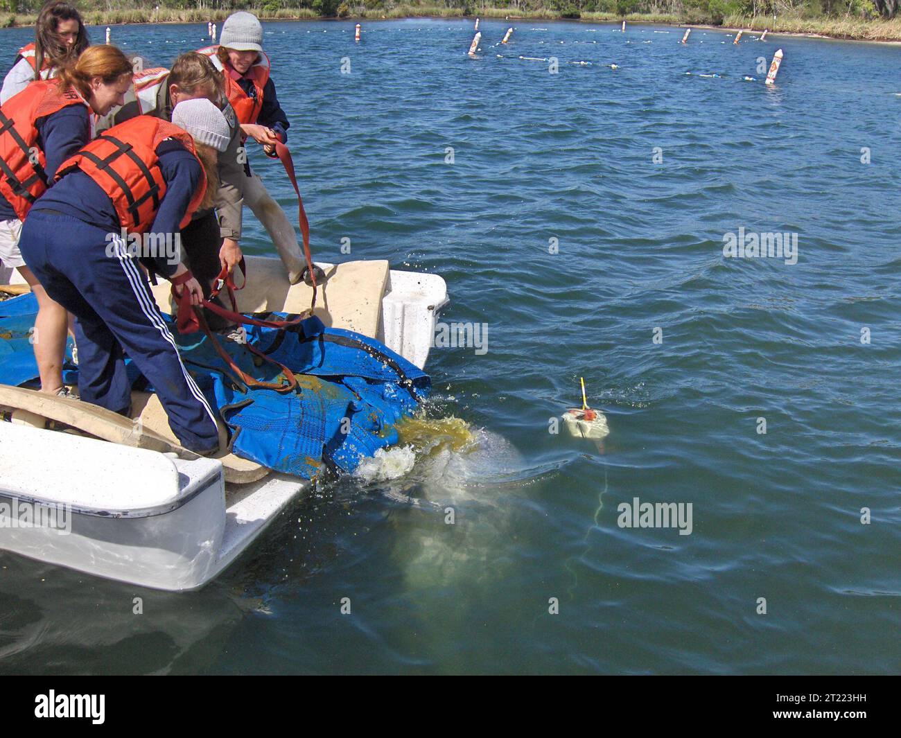 Manatee rescue. Subjects: Mammals; Endangered species. Location