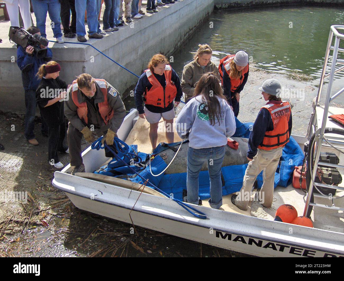 Manatee rescue. Subjects: Mammals; Endangered species. Location