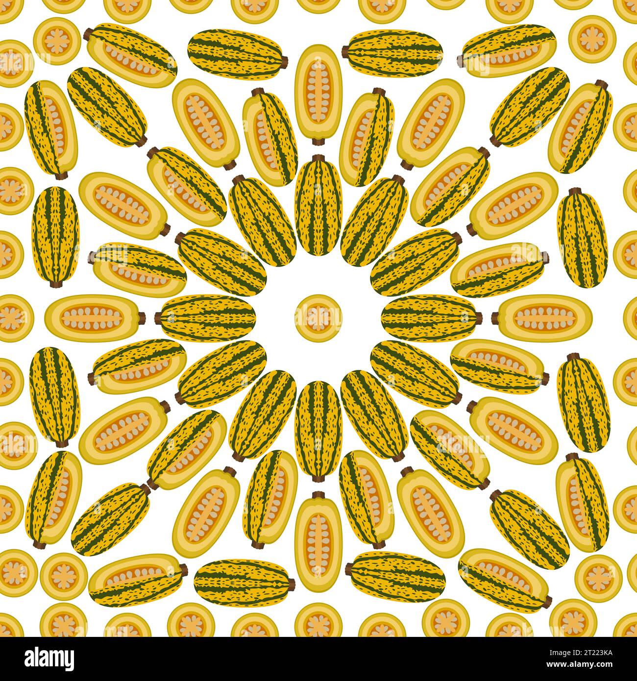 Seamless pattern with Courge Spaghetti winter Squash or Spaghetti squash. Fruit and vegetables. Flat style. Isolated vector illustration. Stock Vector