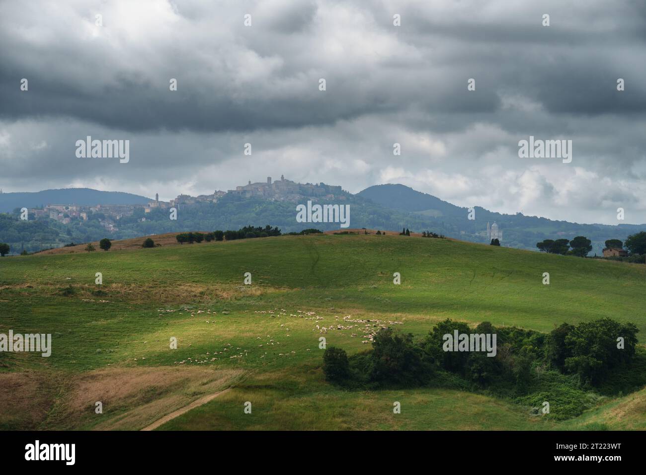 Rural landscape in Tuscany, Italy, near Turrita di Siena at summer Stock Photo