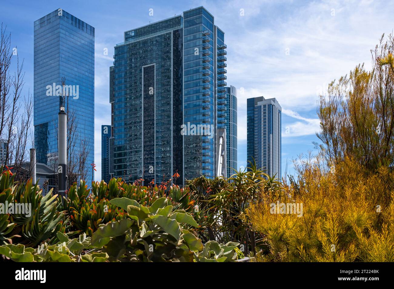 Tall skyscrapers and luxury residential apartment complex surrounded by ...