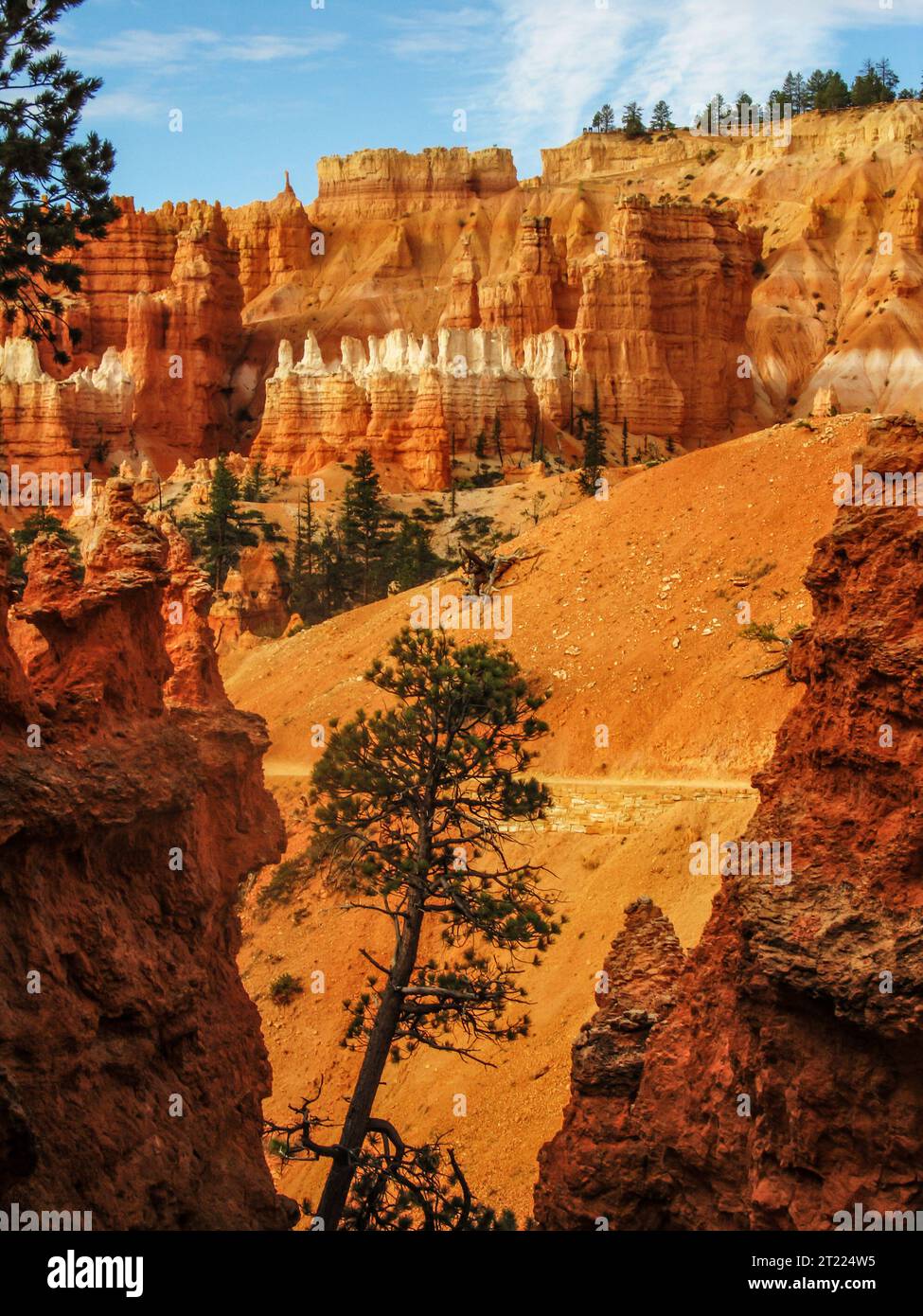 Looking through a small gap between hoodoos at a pine tree growing in this bizarre and alien-like spire filled landscape of Bryce Canyon, Utah. Stock Photo