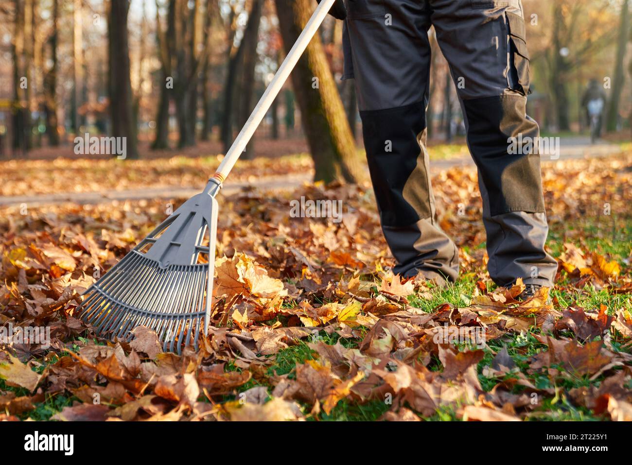 Worker removing foliage rake hi-res stock photography and images - Alamy