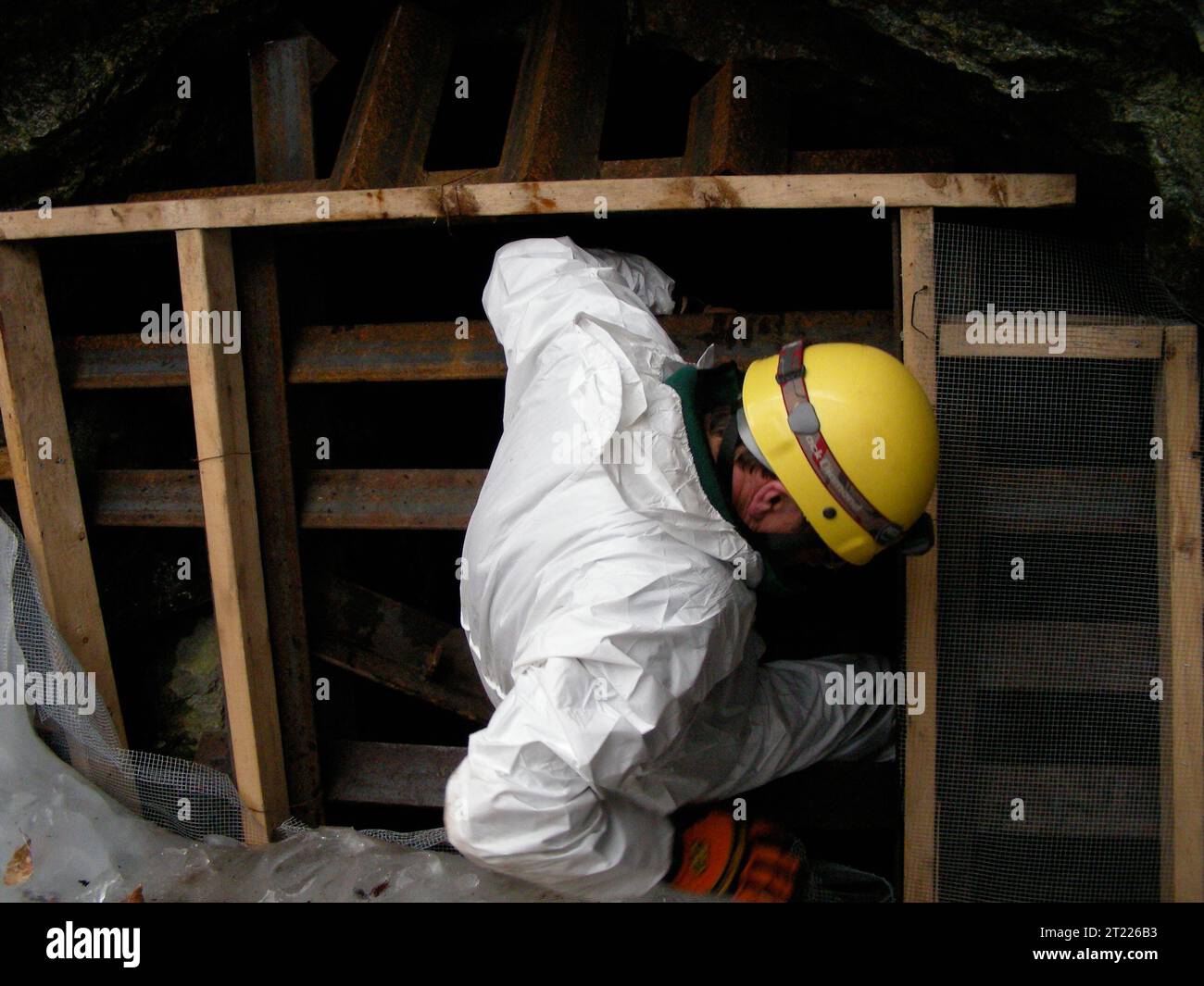 White nose syndrome in bats hires stock photography and images Alamy