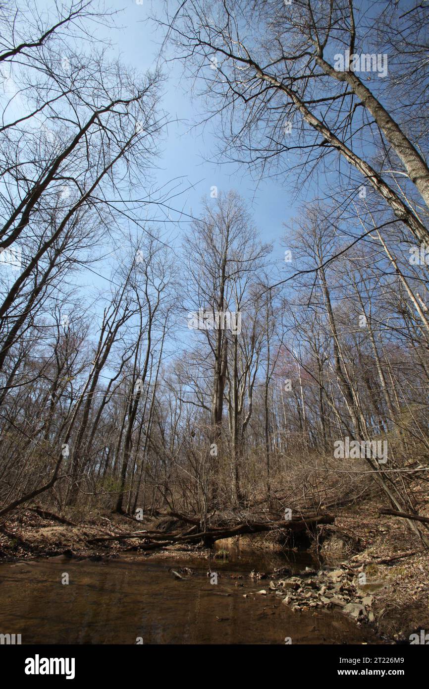 Sweet Run, a stream at the Blue Ridge Center for Environmental ...