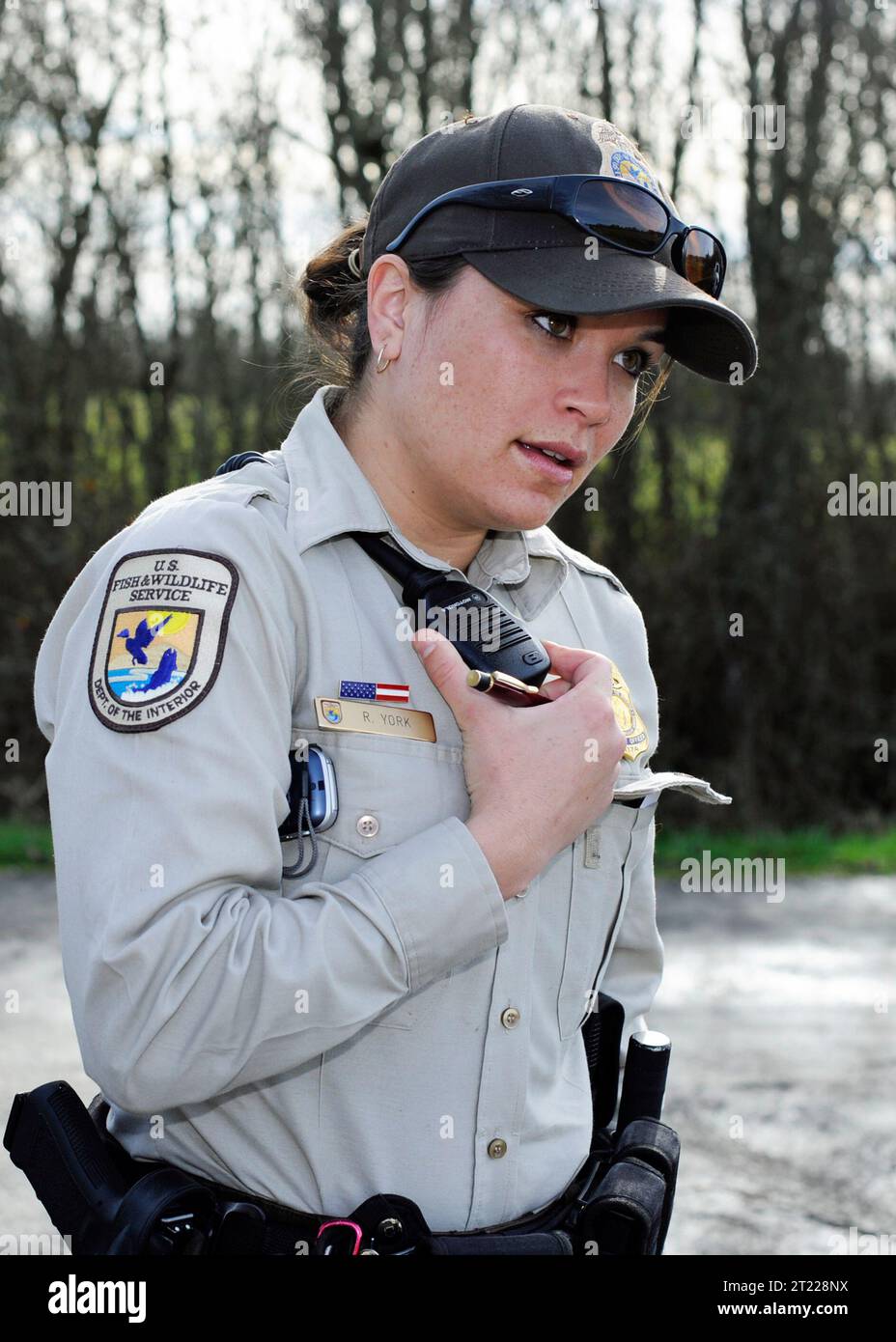 Rachel york hires stock photography and images Alamy