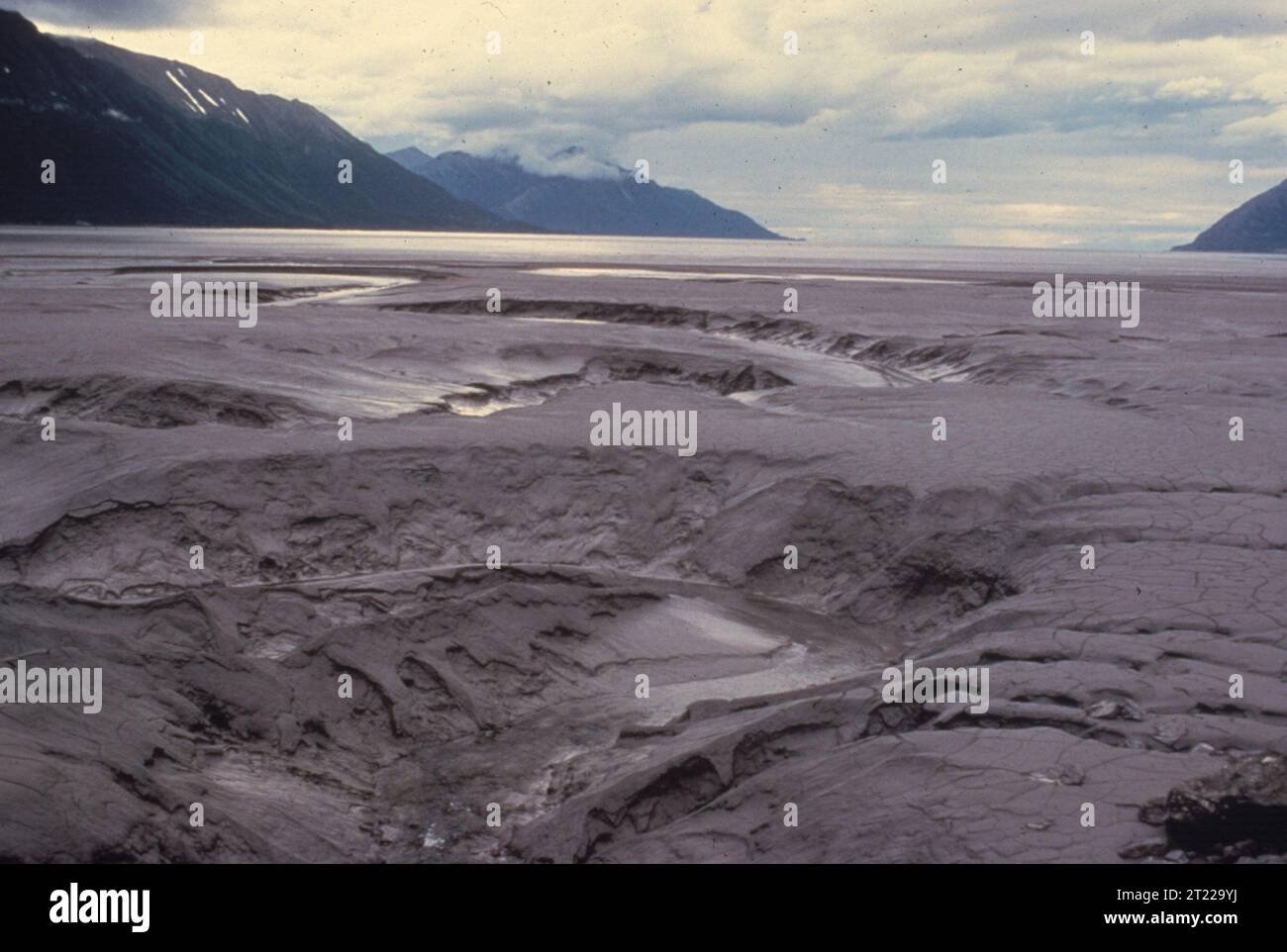 A shot of a mud flat in an unconsolidated shore in Alaska. Subjects: Coastal environments. Location: Alaska.  . 1998 - 2011. Stock Photo