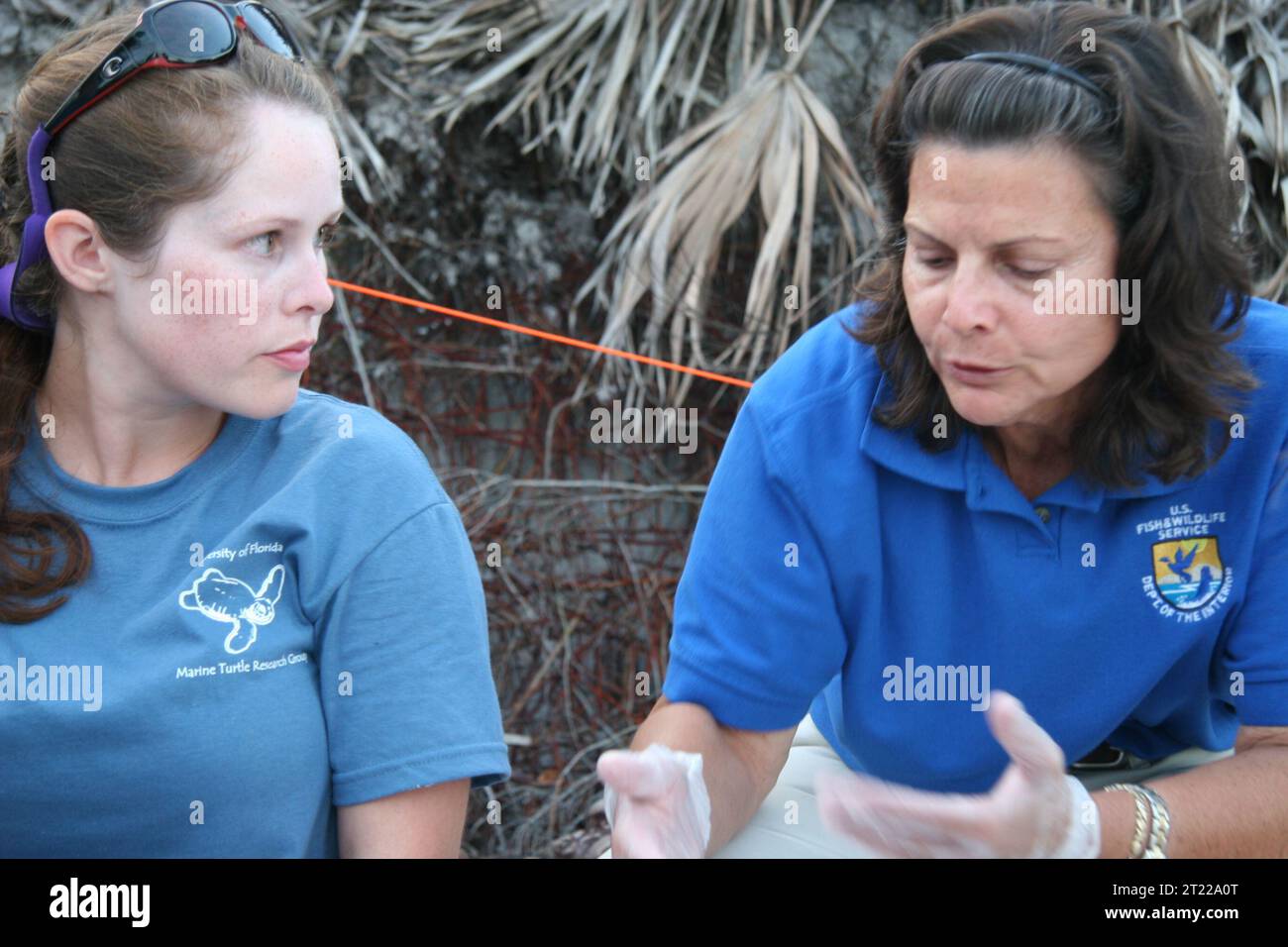 Port St. Joe, FL: USFWS biologist Lorna Patrick and University of Florida student Brail Stephens. Subjects: Deepwater Horizon Oil Spill; Relocation; Reptiles; Volunteers; Employees (USFWS); Service patch; Connecting people with nature. Location: Florida. Stock Photo