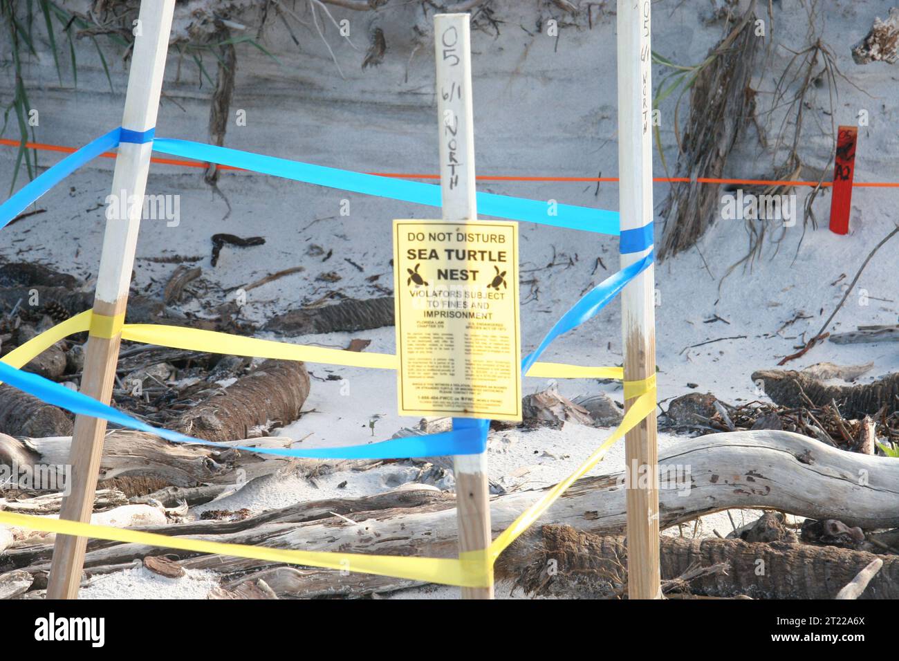 Port St. Joe, FL: Sea turtle nest notice. Subjects: Deepwater Horizon Oil Spill; Relocation; Reptiles; Volunteers. Location: Florida. Stock Photo
