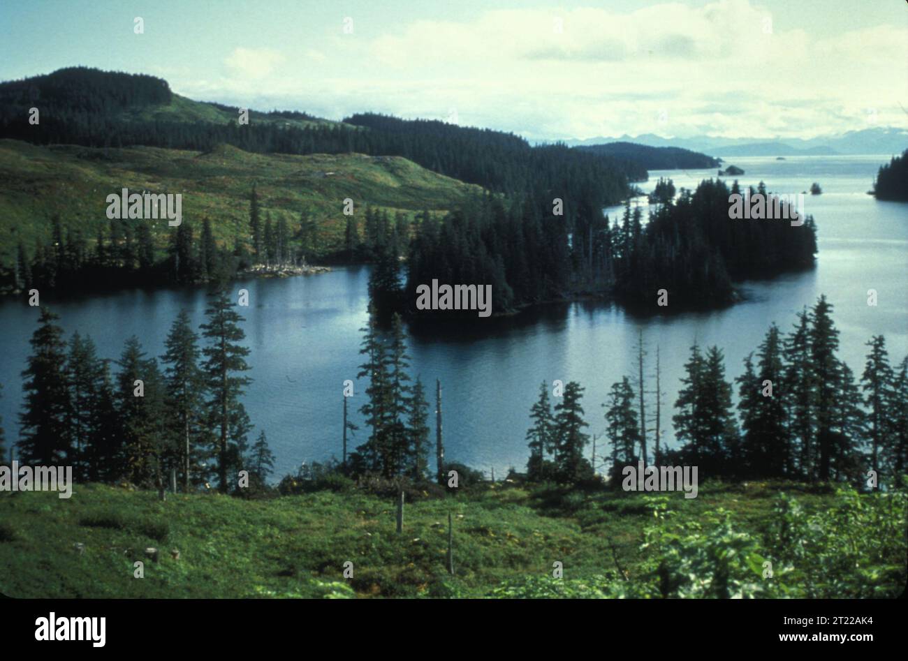Scenic view of a the Kayakol Bay surrounded by evergreens. Subjects: Scenics; Trees. Location: Alaska.  . 1998 - 2011. Stock Photo