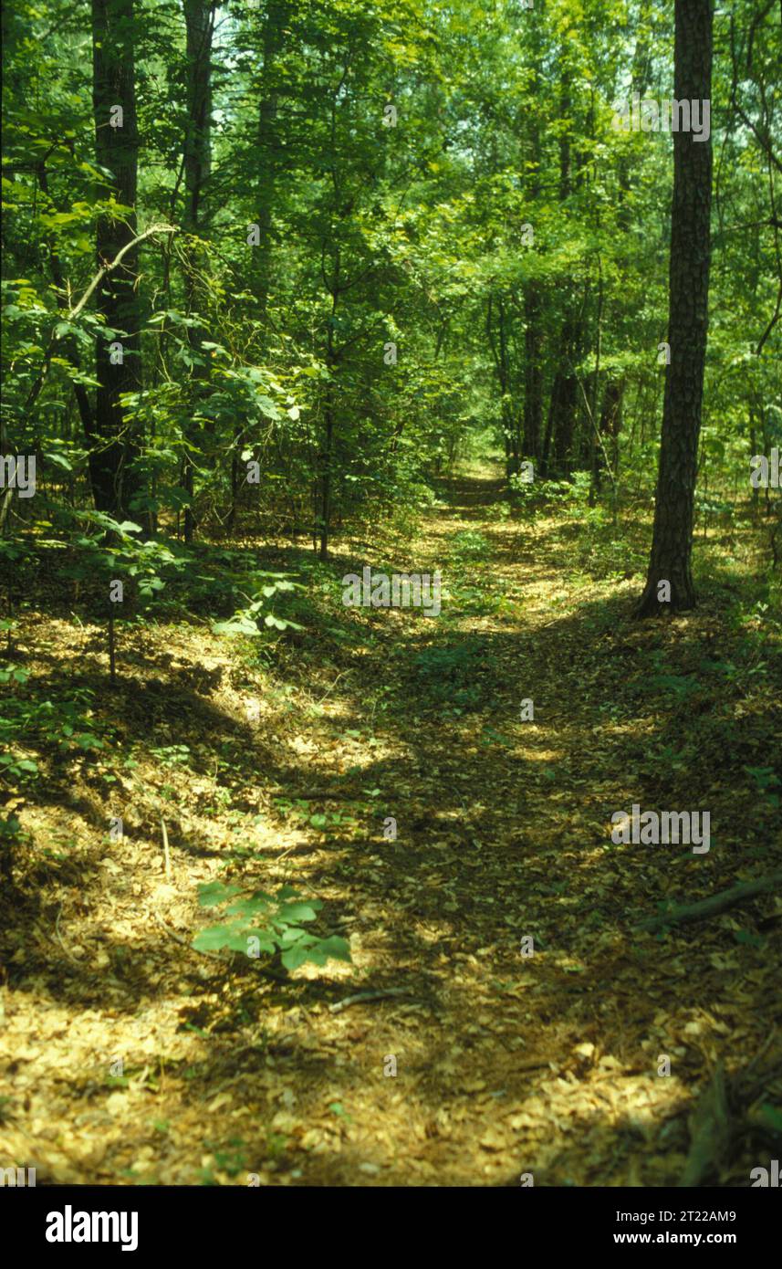Tobacco road georgia hi-res stock photography and images