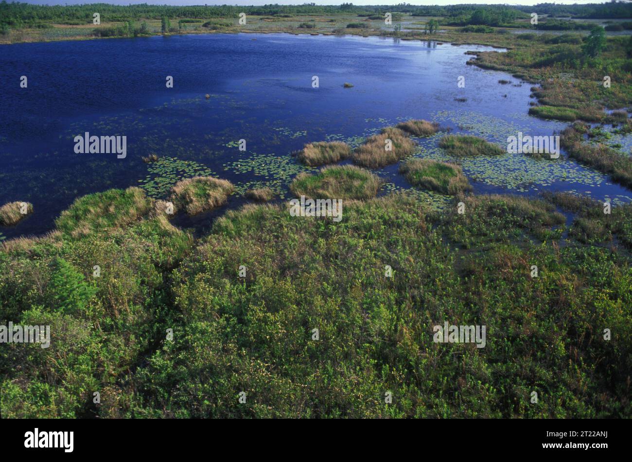 Aerial view of wetlands in Okefenokee Wildlife Refuge. Subjects: Aerial photography; Wetlands; Aquatic environments; Aquatic plants; Wildlife refuges. Location: Georgia. Fish and Wildlife Service Site: OKEFENOKEE NATIONAL WILDLIFE REFUGE.  . 1998 - 2011. Stock Photo