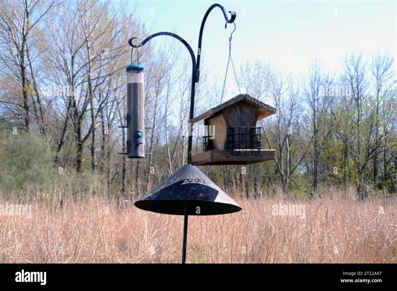 A birdfeeder is pictured at the John Heinz National Wildlife Refuge at Tinicum. Subjects: Birds; Wildlife refuges. Location: Pennsylvania. Fish and Wildlife Service Site: JOHN HEINZ NATIONAL WILDLIFE REFUGE AT TINICUM.  . 1998 - 2011. Stock Photo