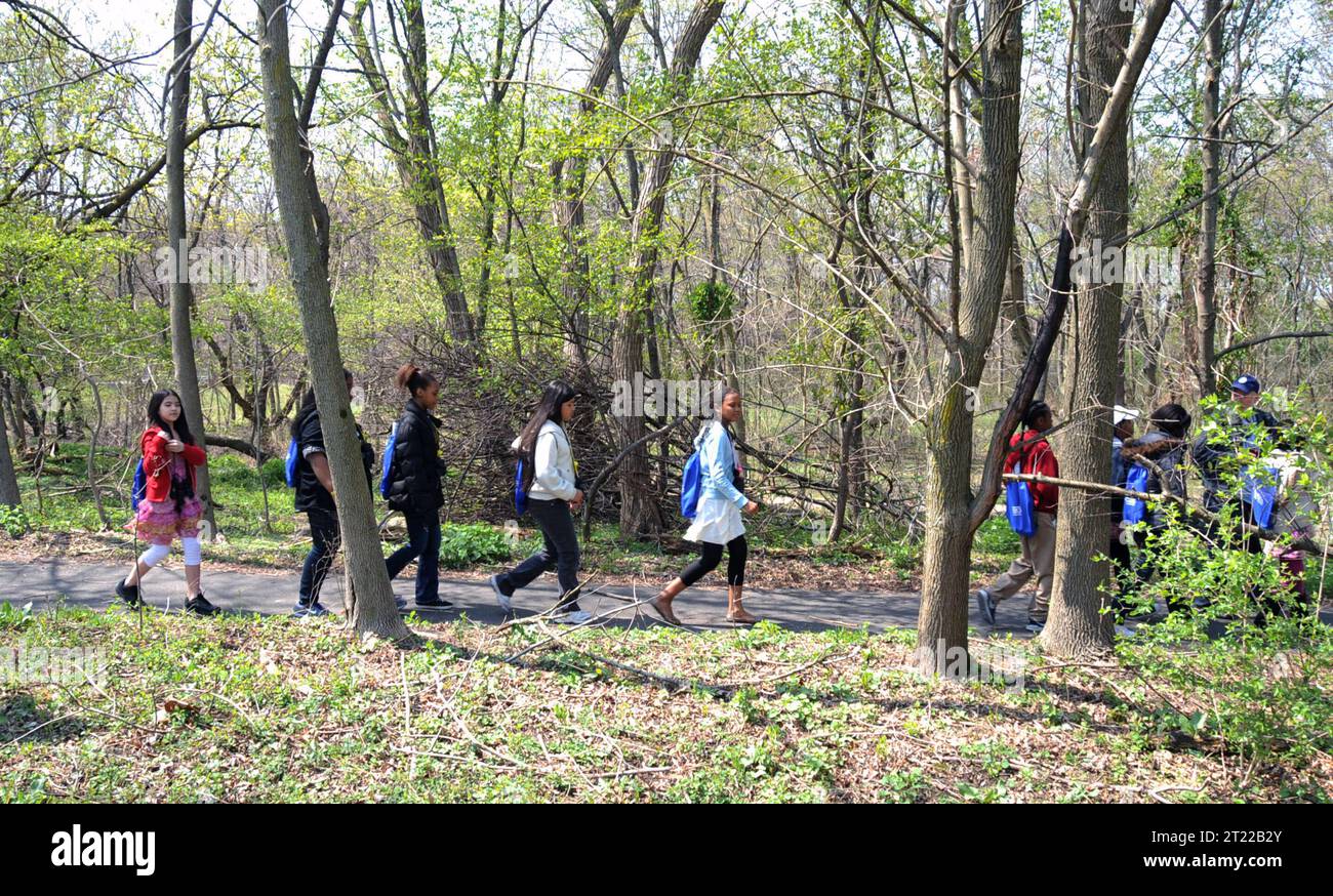 Children are seen touring through the John Heinz National Wildlife Refuge in search of birds. Subjects: Birdwatching; Birds; Children; Education; Education outreach; Events; Recreation; Work of the Service. Location: Pennsylvania. Fish and Wildlife Service Site: JOHN HEINZ NATIONAL WILDLIFE REFUGE AT TINICUM. Stock Photo