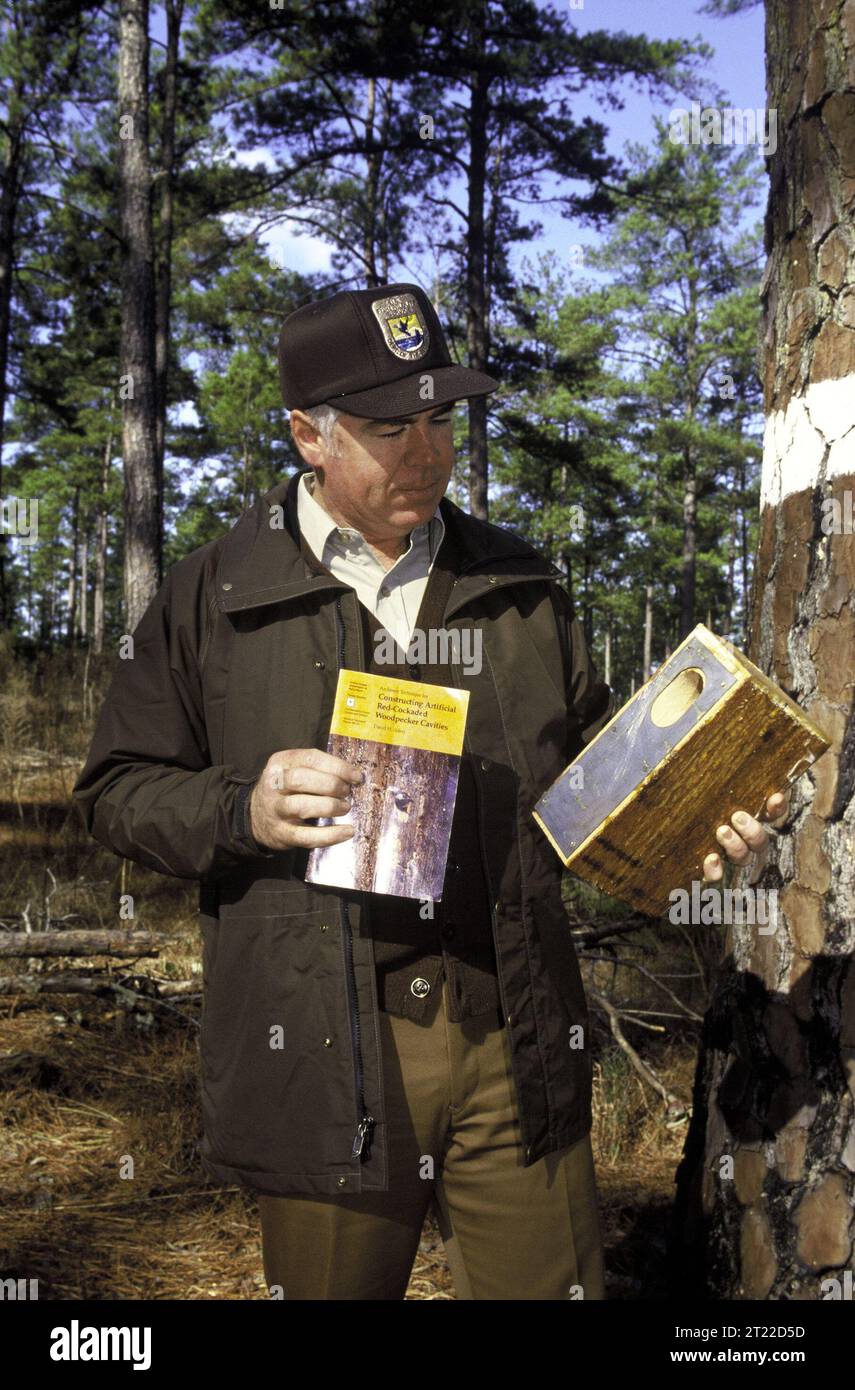 Management of the Red Cockaded Woodpecker is a perfect example of