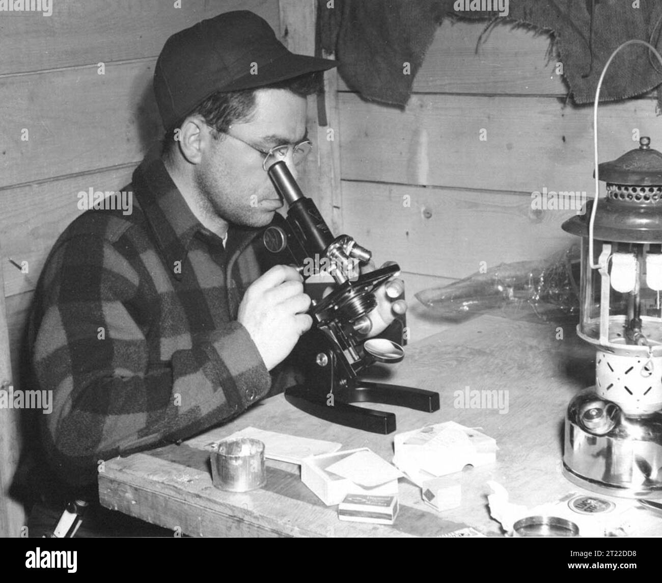Black and white image of refuge manager Paul Adams looks through microscope; He conducted endangered species sea otter research during the winter of 1950-1951 at a laboratory at Crown Reefer Camp on Amchitka Island in the Aleutian Islands, Alaska Maritime. Subjects: Endangered species; History; Mammals; Research; Wildlife management; Employees (USFWS); Work of the Service. Location: Alaska. Fish and Wildlife Service Site: ALASKA MARITIME NATIONAL WILDLIFE REFUGE.  . 1998 - 2011. Stock Photo