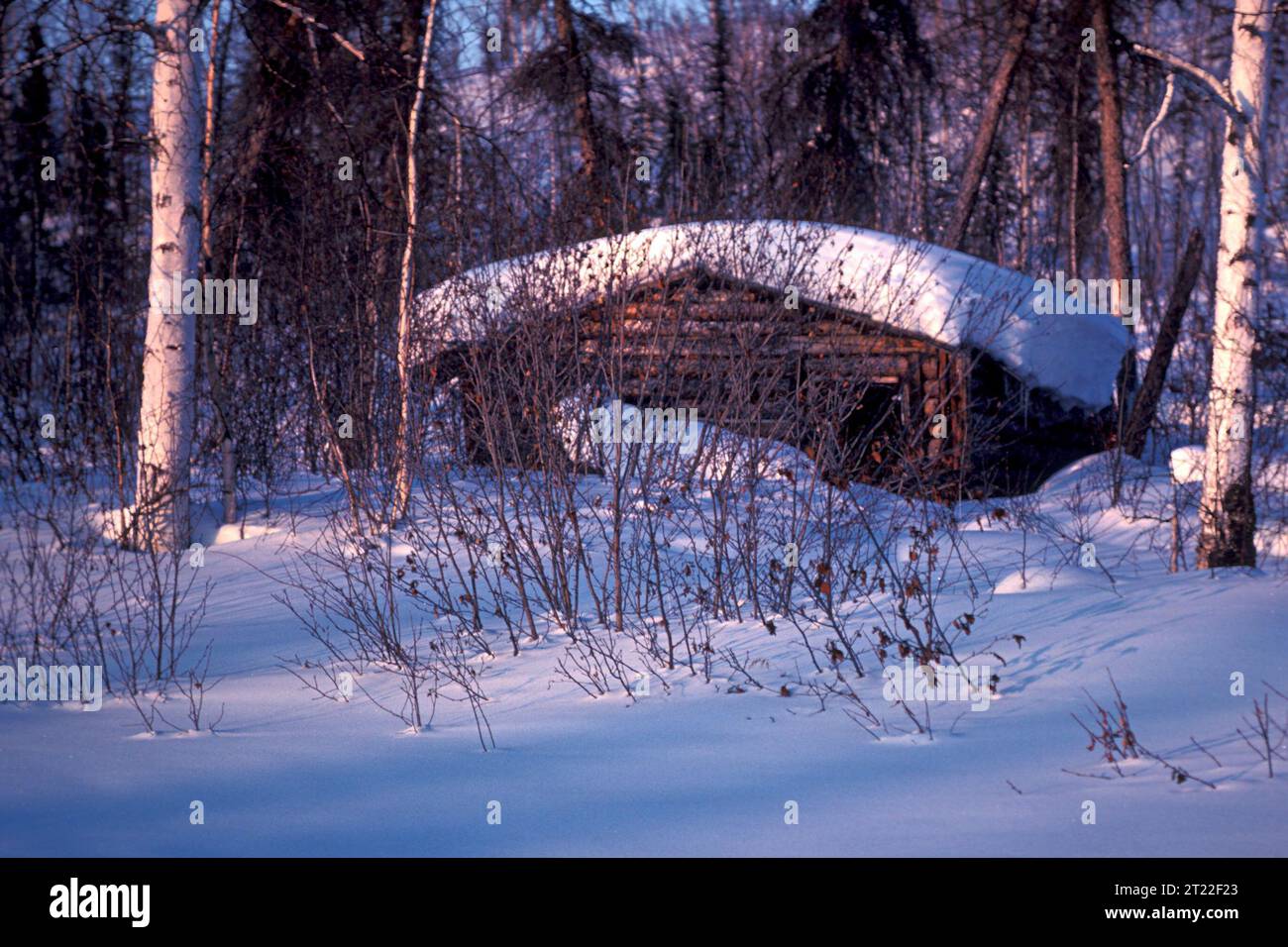 This cabin is located north of Galena, presumably in or near the Koyukuk NWR. Subjects: Subsistence; Trapping; Wildlife refuges; Koyukuk National Wildlife Refuge.  . 1998 - 2011. Stock Photo