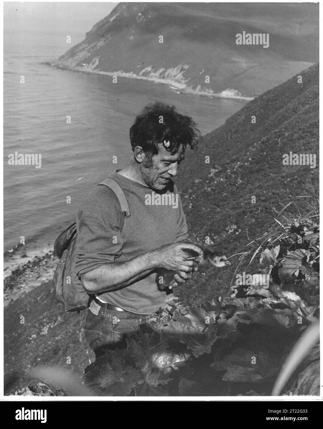 Alaska maritime nwr Black and White Stock Photos & Images - Alamy