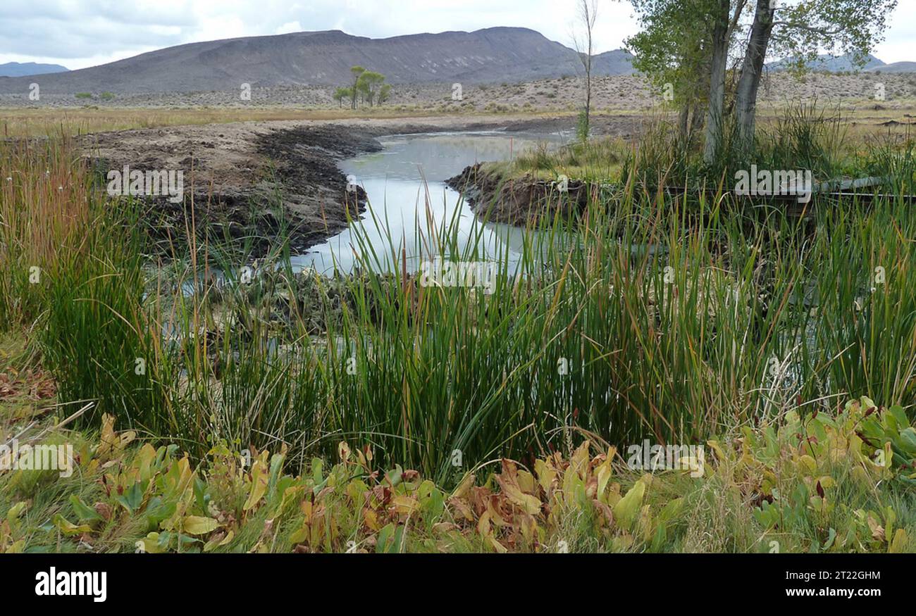 One of the springs undergoing restoration on the Pahranagat National ...