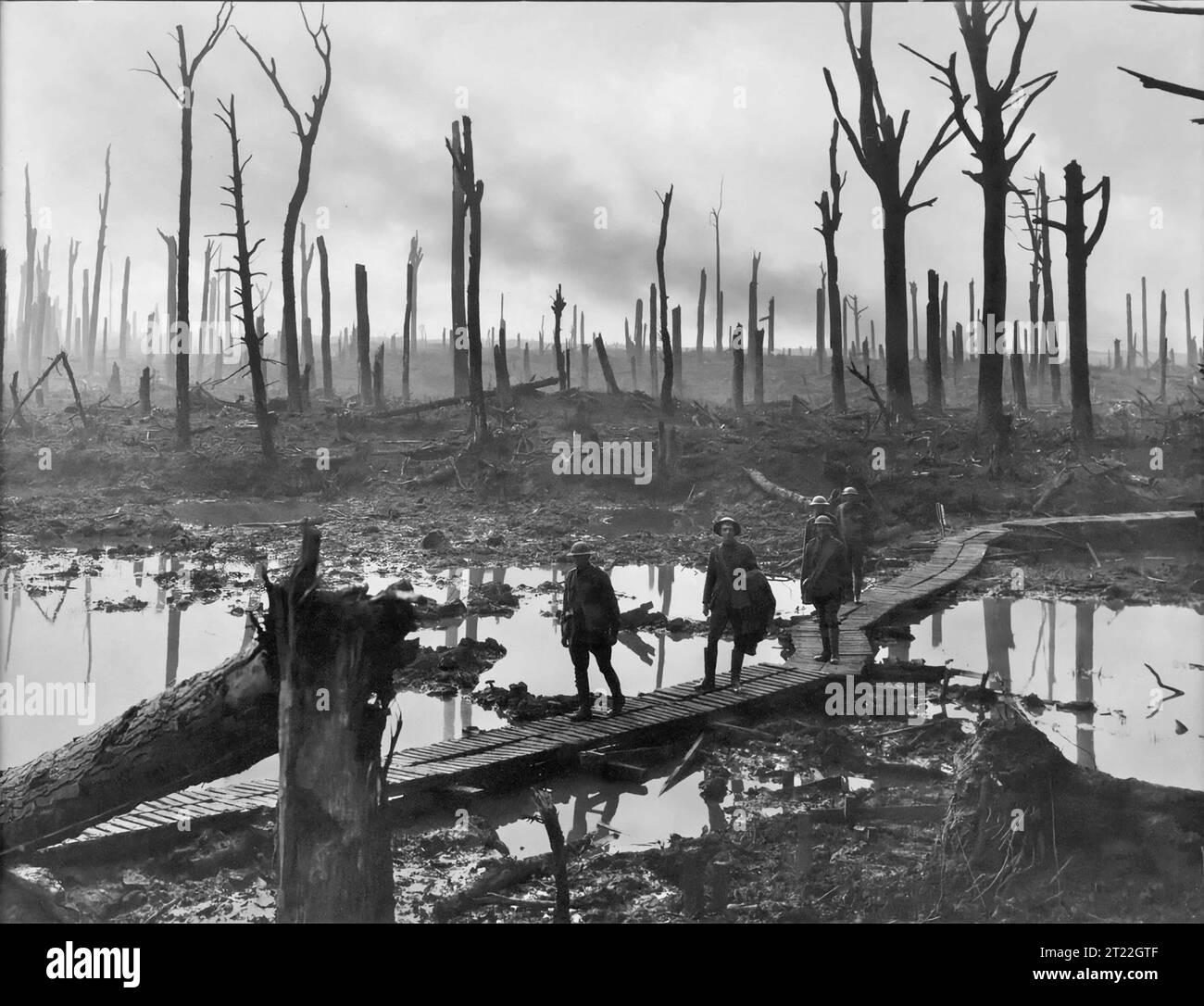 The Third Battle of Ypres (The Battle of Passchendaele). Soldiers of an Australian 4th Division field artillery brigade on a duckboard track passing through Chateau Wood, near Hooge in the Ypres salient, 29 October 1917. Photo by Frank Hurley. Stock Photo