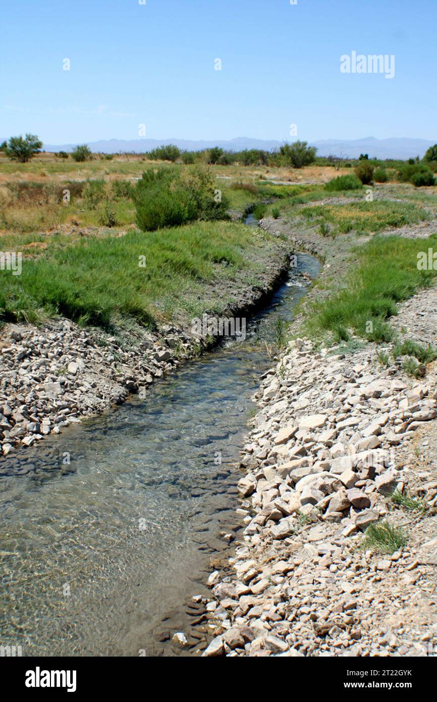 Spring Outflow Restoration at Ash Meadows National Wildlife Refuge ...