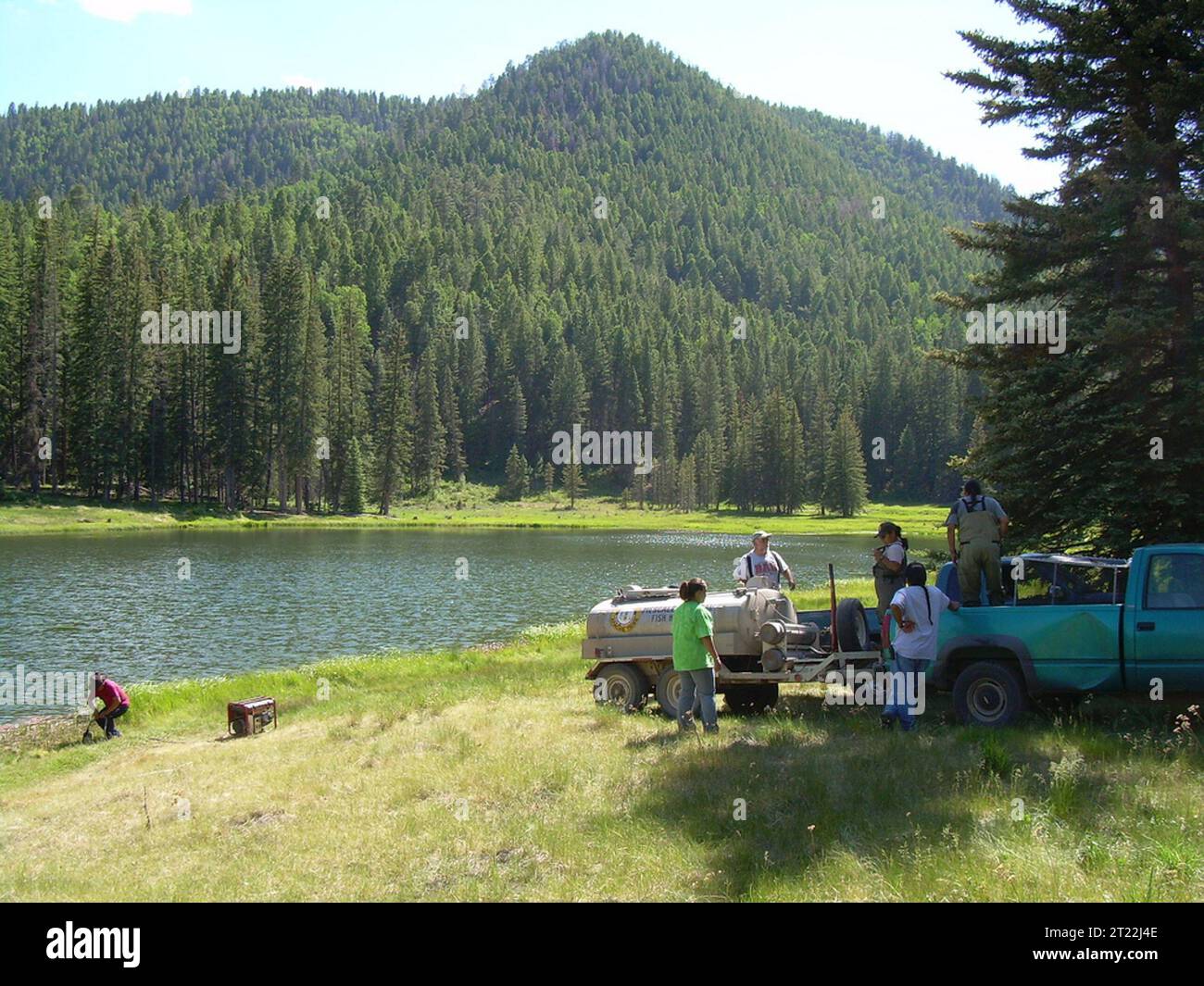 Rio Grande cutthroat trout are collected in northern New Mexico as part ...