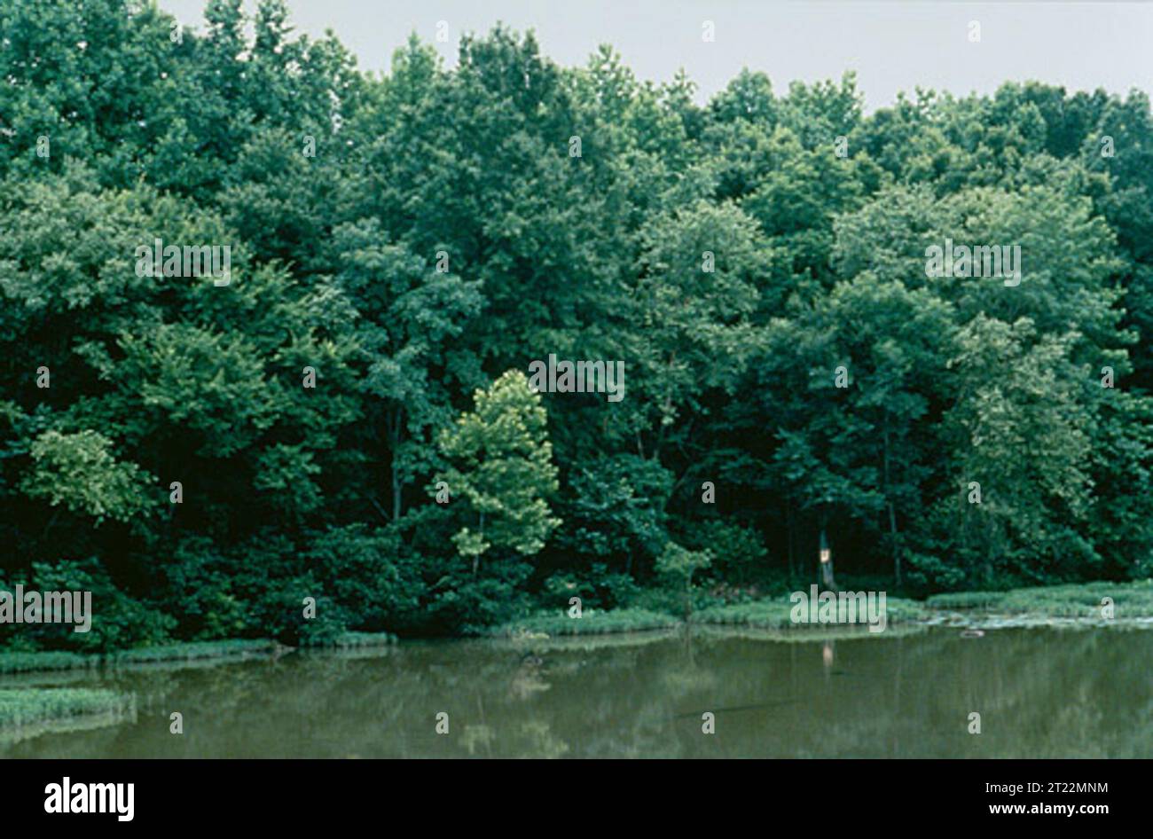 Neuse river hi-res stock photography and images - Alamy