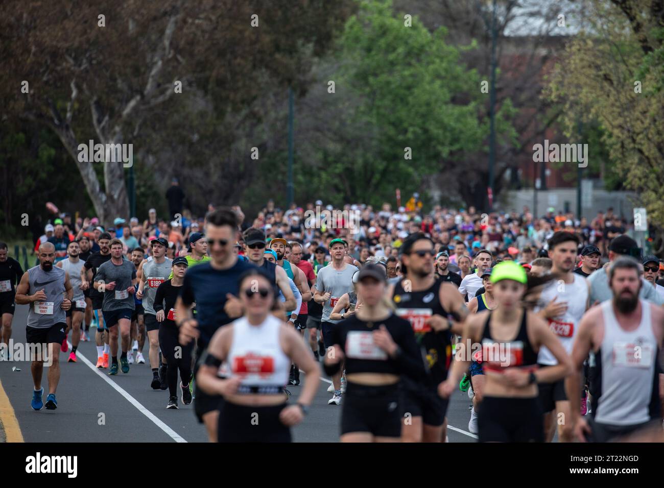 Melbourne, Australia. 15th Oct, 2023. October 15, 2023, Melbourne