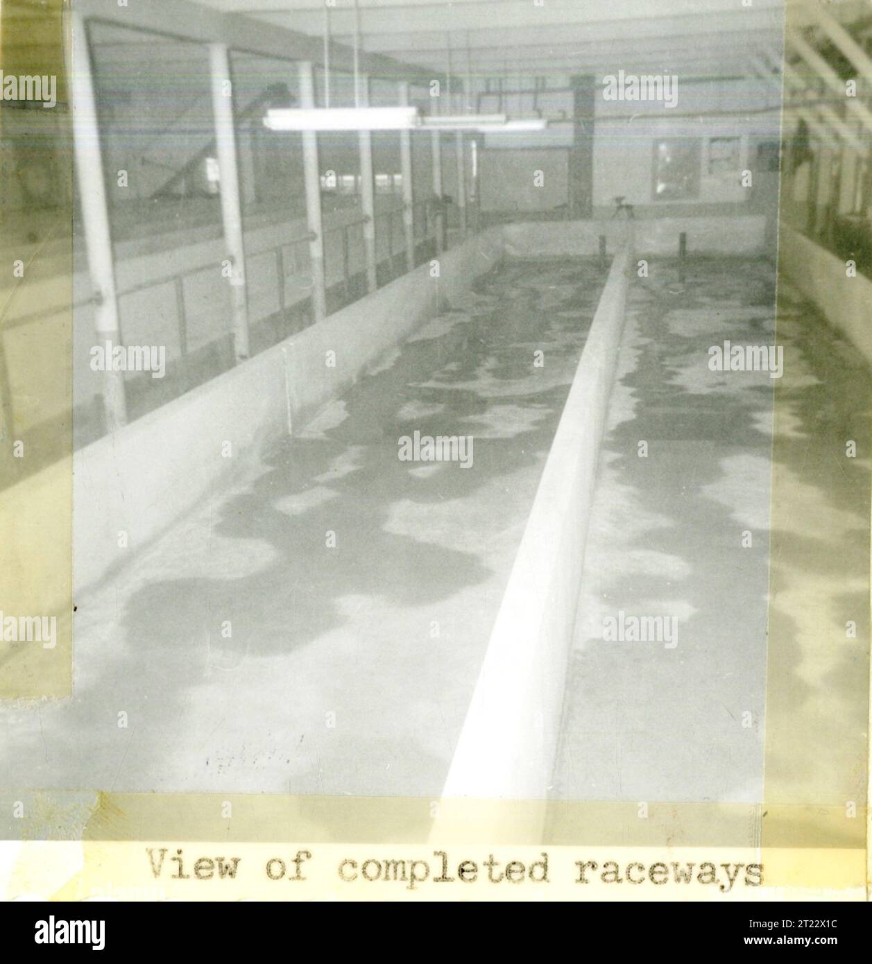 A completed fish raceway installation, showing the infrastructure used ...