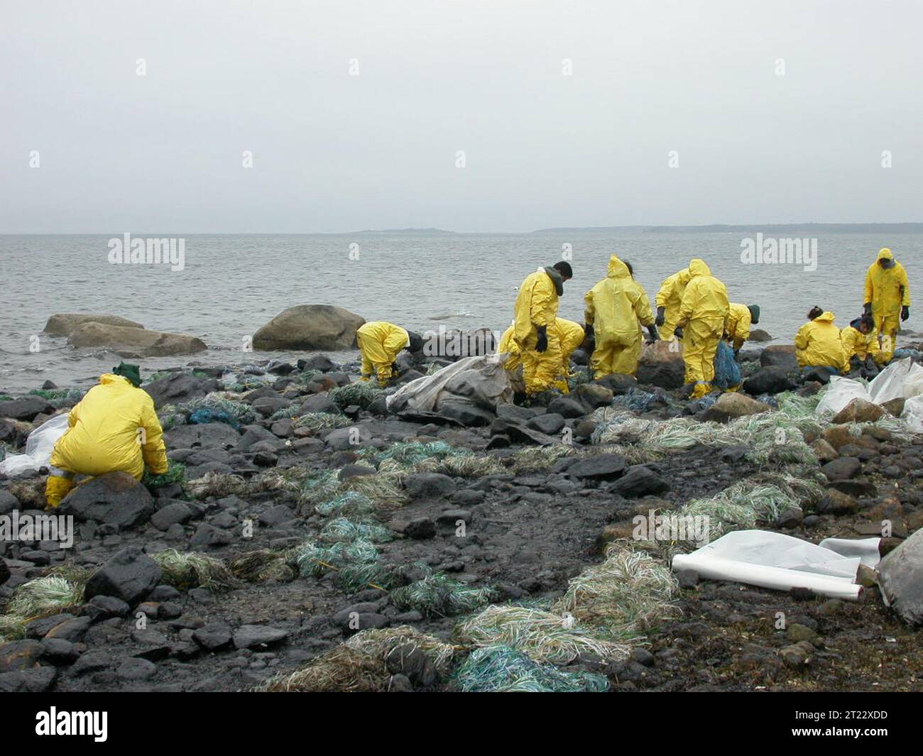 Workers clean up after oil spill, Buzzards Bay. Subjects Employees