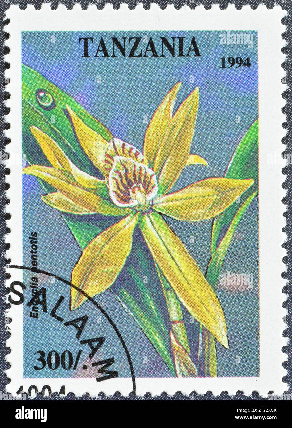 Cancelled postage stamp printed by Tanzania, that shows Encyclia pentotis, Tropical Flowers, circa 1994. Stock Photo