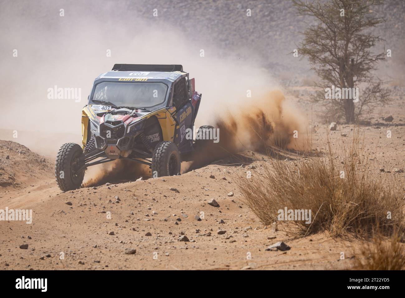 Prt Racing 403 FERREIRA Joao (prt), PALMEIRO Filipe (prt), South Racing Can-Am ...