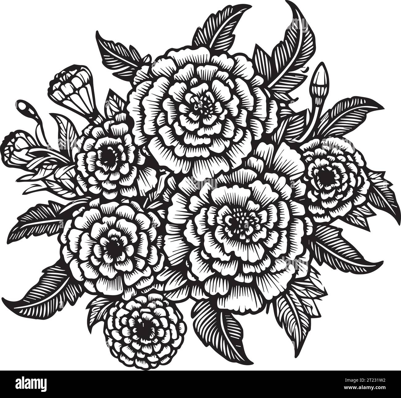 outline marigold drawing, simple marigold line drawing, marigold flower