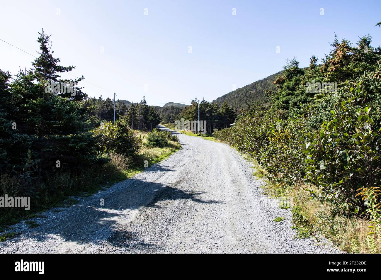 Rough forest service road to Biscayan Cove in Pouch Cove, Newfoundland & Labrador, Canada Stock Photo