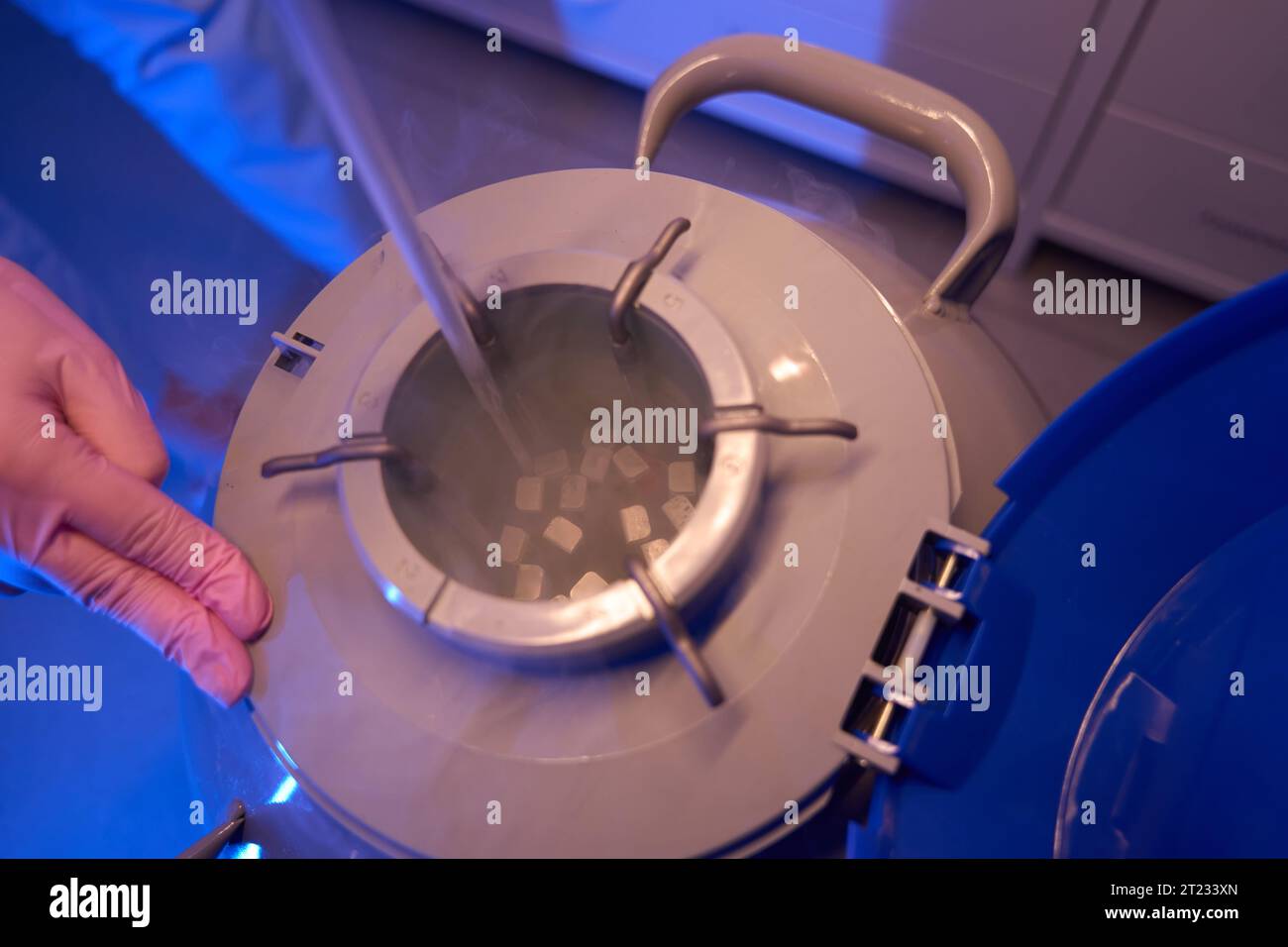 Cryogenic preservation tank hi-res stock photography and images - Alamy