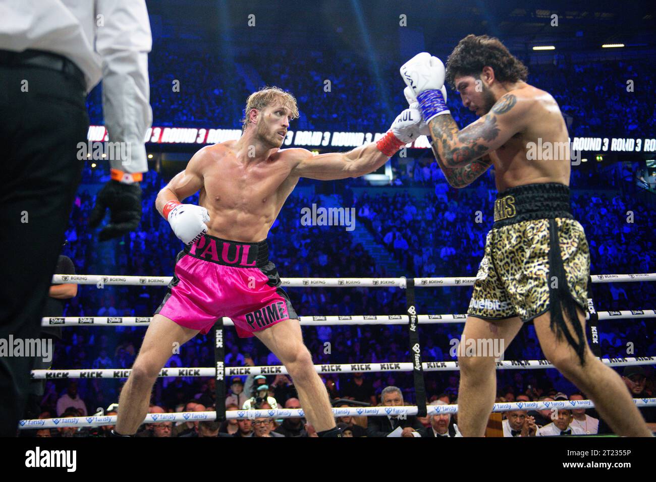 Dillon danis fight hires stock photography and images Alamy