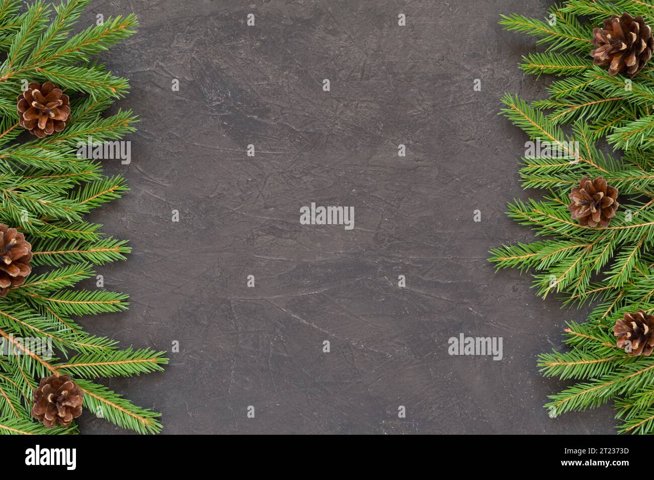 Christmas background with Christmas tree branches on a dark textured ...